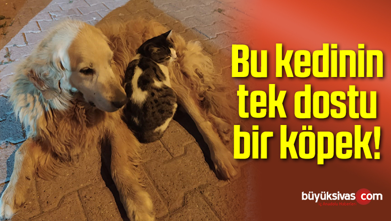 Bu kedinin tek dostu köpek