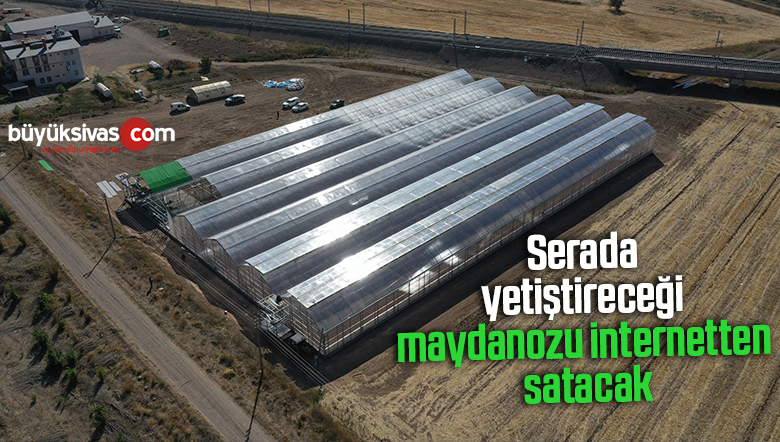 Serada yetiştireceği maydanozu internetten satacak