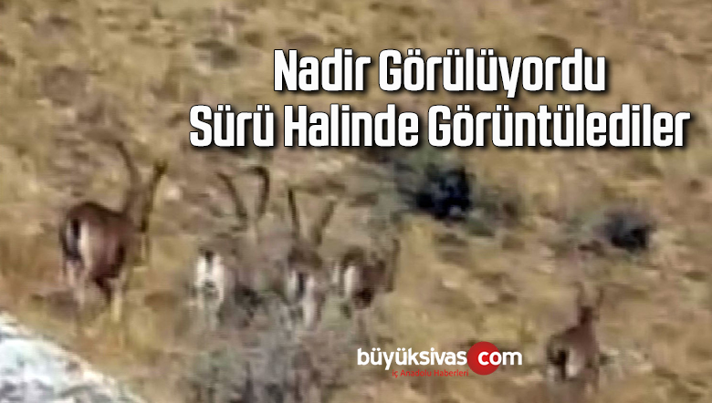 nadir
