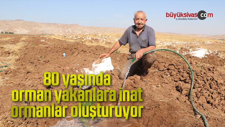 80 yaşında, orman yakanlara inat ormanlar oluşturuyor
