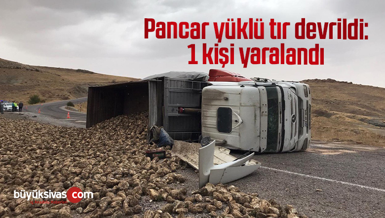 Pancar yüklü