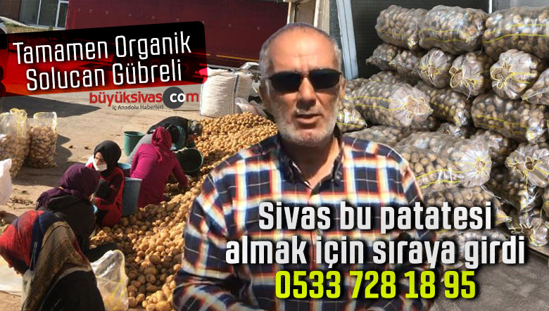 Sivas Solucan Gübreli Organik Patates – 0533 728 18 95 – Uğur Göçmen