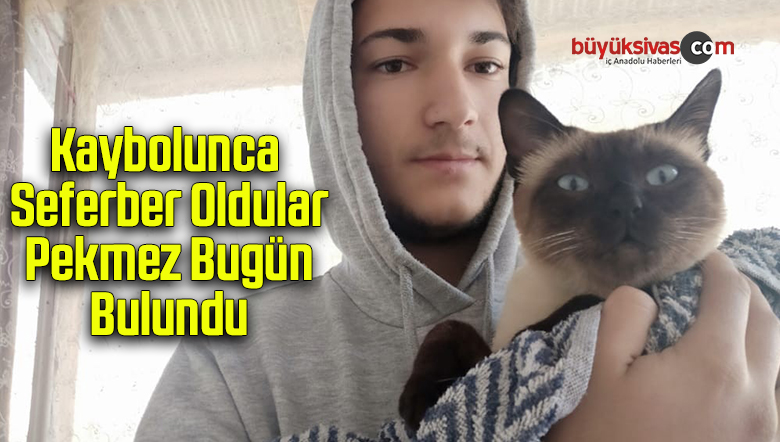 Kaybolunca seferber oldular, Pekmez bugün bulundu