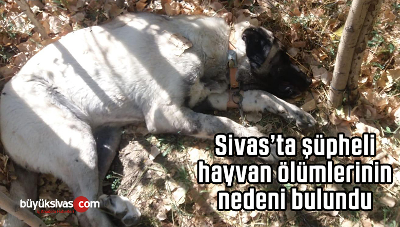 şüpheli