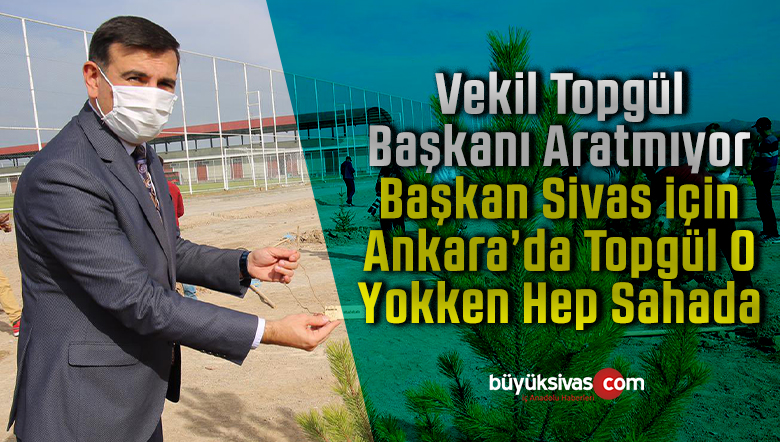 topgül
