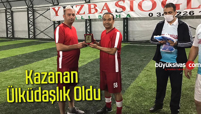 ülküdaşlık