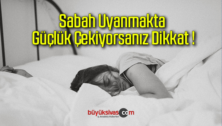 uyku
