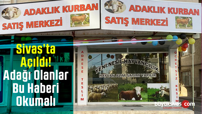 Sivas’ta Akika Şükür veya Adaklık kurbanlıklar Yeni Nesil Hayvancılık ‘ta