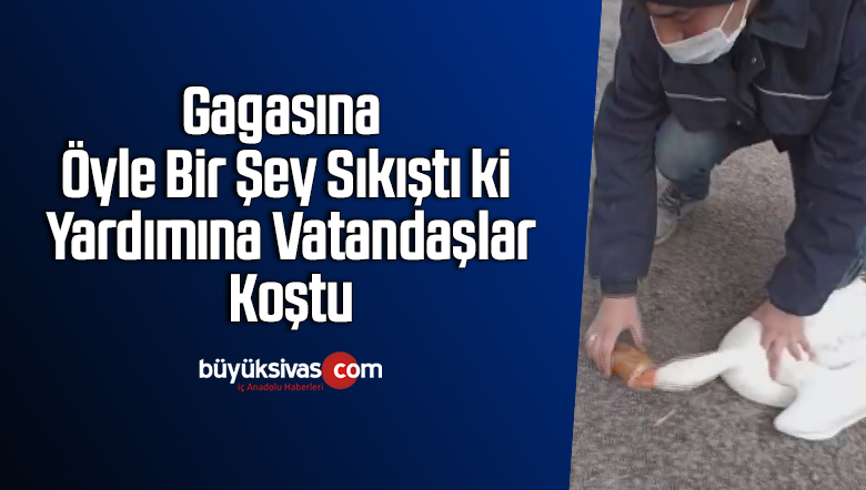 Gagasına öyle bir şey sıkıştı ki, yardımına vatandaşlar koştu