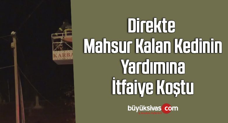 Direkte mahsur kalan kedinin yardımına itfaiye koştu