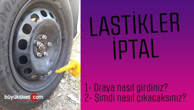 Öyle bir yerde sıkıştılar ki, görenler şaşıp kaldı! Peki şimdi ne olacak?