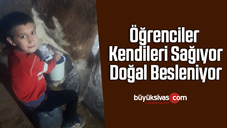 Öğrenciler kendileri sağıyor, doğal besleniyor