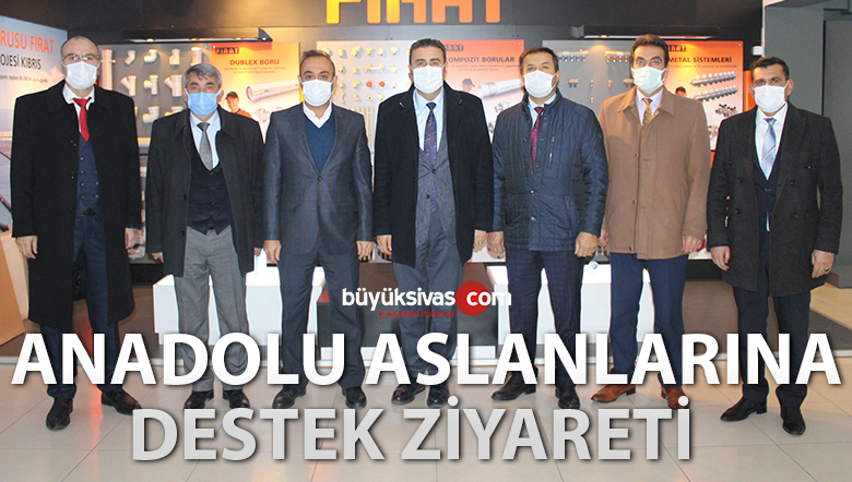 Anadolu Aslanları