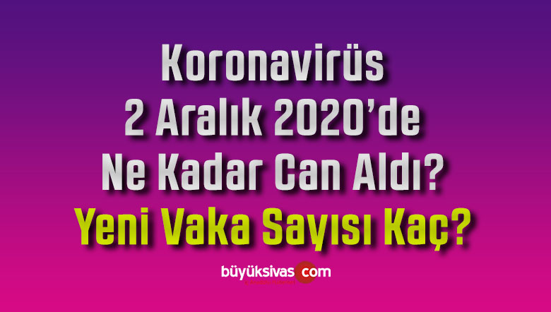 Koronavirüs 2 Aralık