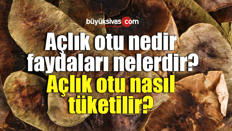 açlık otu