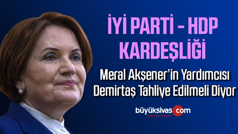 İyi Partili Yavuz Ağıralioğlu: Demirtaş kararına saygı duyulmalı