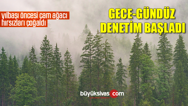 Kaçak çam ağacı kesimine karşı drone’lu denetim