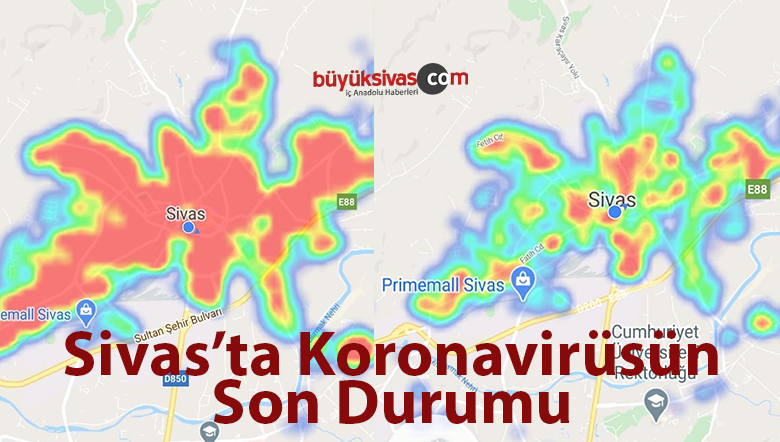 korona virüs haritası