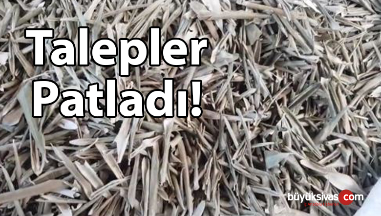 korona virüse karşı