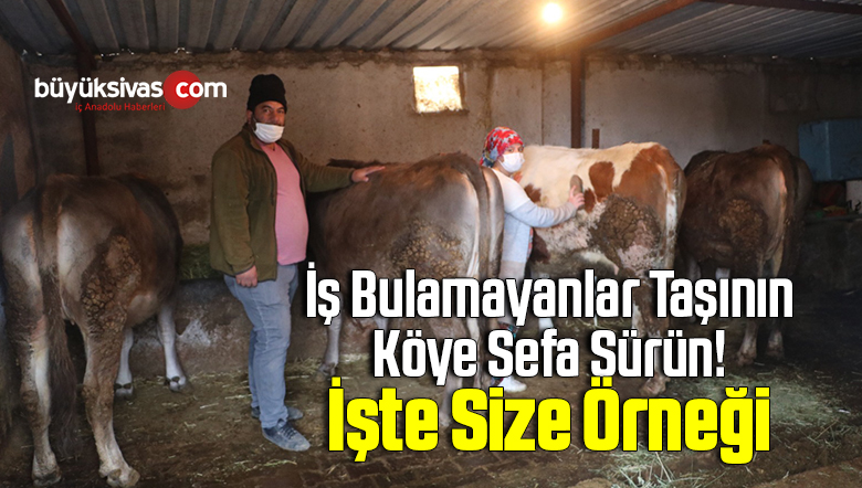 köy