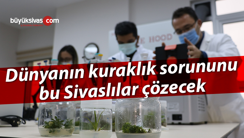 kuraklık