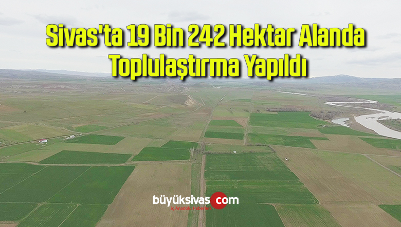 Sivas’ta 19 Bin 242 Hektar Alanda Toplulaştırma Yapıldı