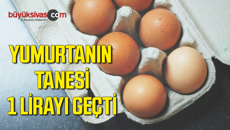 yumurta