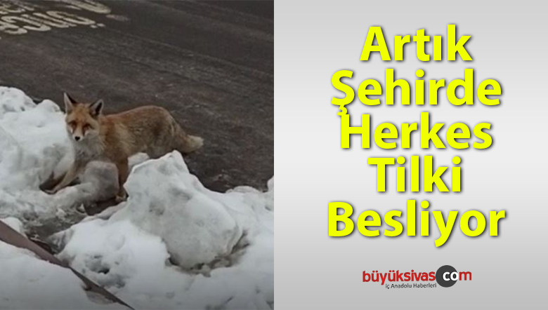 Sivas Cahit Zarifoğlu