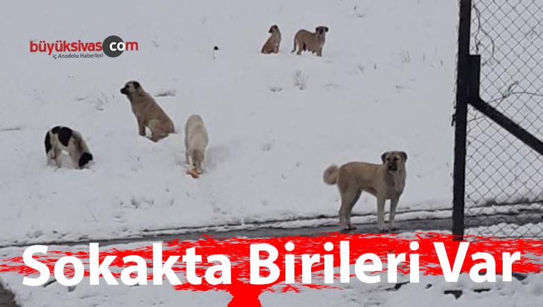 Sokakta Birileri Var