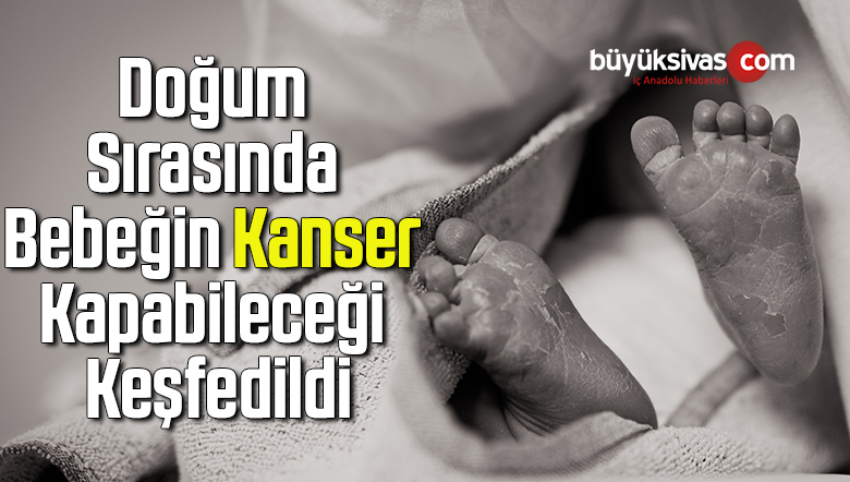 bebek