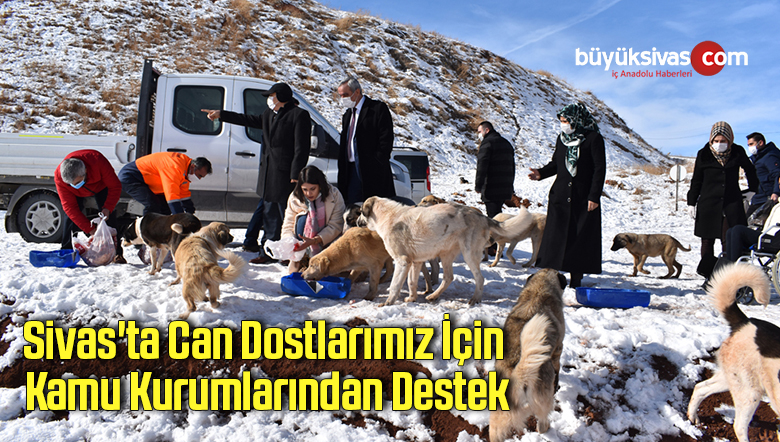 dost