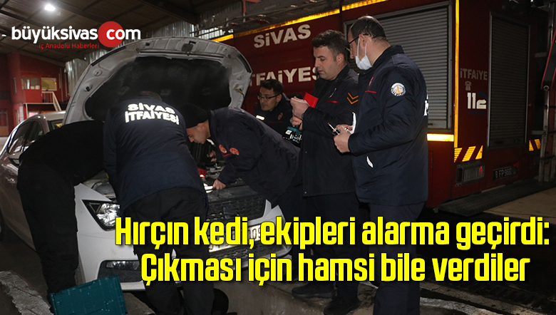 Hırçın kedi, ekipleri alarma geçirdi: Çıkması için hamsi bile verdiler