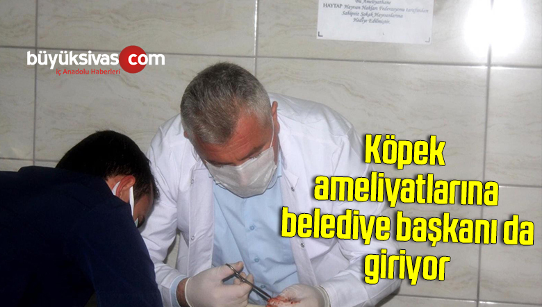 Köpek ameliyatlarına belediye başkanı da giriyor