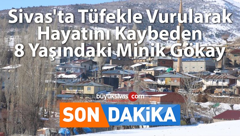 minik gökay