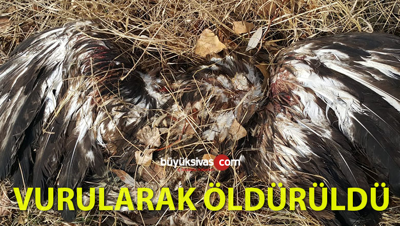 öldürüldü