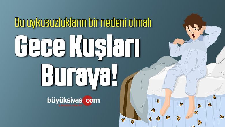 uyku