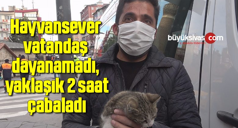 Hayvansever vatandaş dayanamadı, yaklaşık 2 saat çabaladı