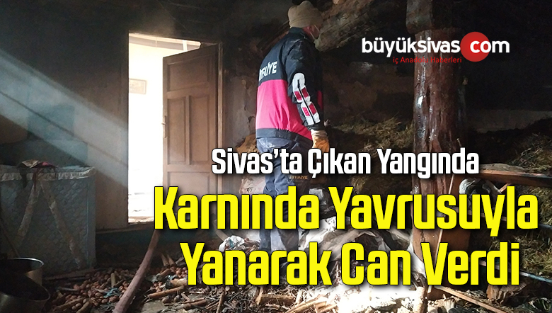 Karnında Yavrusuyla Yanarak Can Verdi