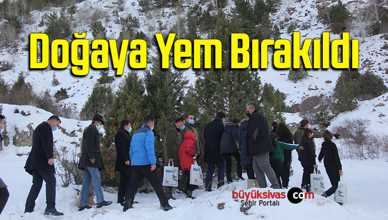 yaban hayvanlarına destek olmak için doğaya yem bırakıldı