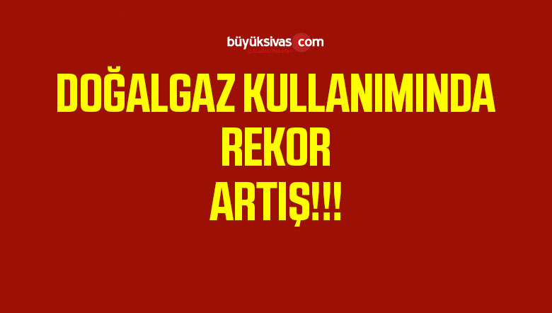 DOĞALGAZ