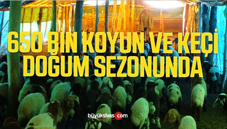DOĞUM