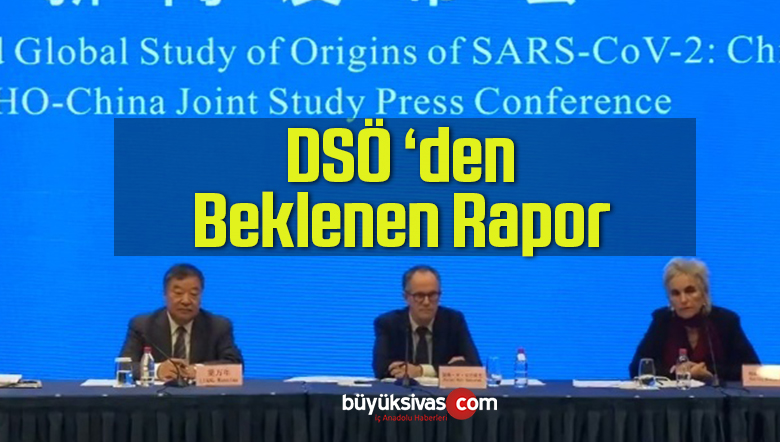 DSÖ