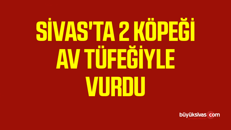 KÖPEK
