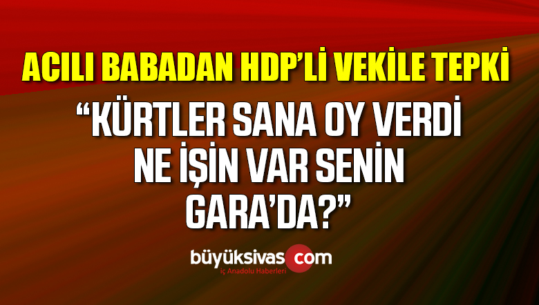 Evlat nöbetindeki babadan, Gara’ya giden HDP’li vekil Taşdemir’e tepki