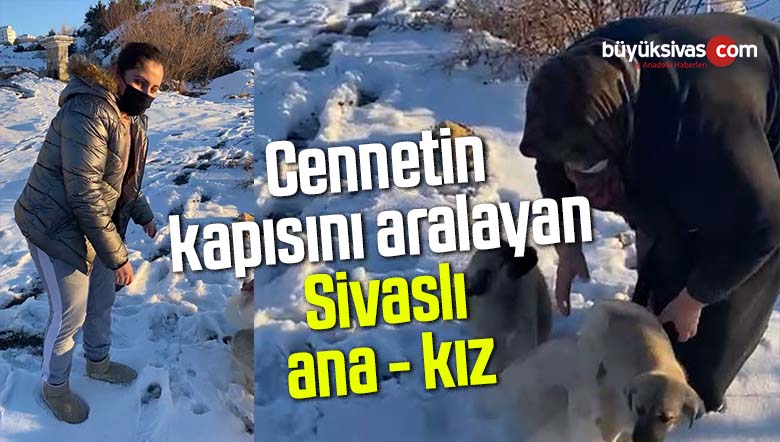 Bedriye Toprak Çetin ve annesi donmak üzere olan köpekleri böyle kurtardı