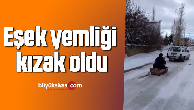 Eşek yemliği kızak oldu
