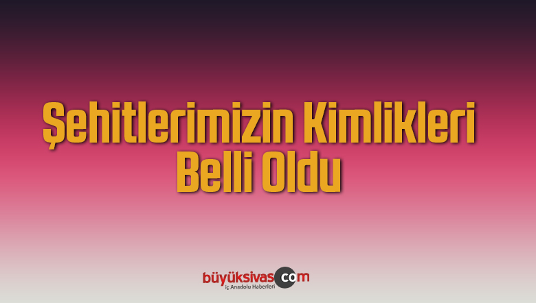 Gara Şehitlerimizden 10’unun Kimliği Tespit Edildi.