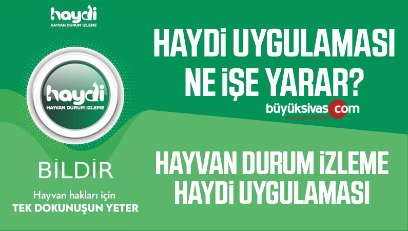 HAYDİ uygulaması ne işe yarar? HAYDİ uygulaması nedir?