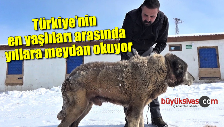 Türkiye’nin en yaşlıları arasında, yıllara meydan okuyor