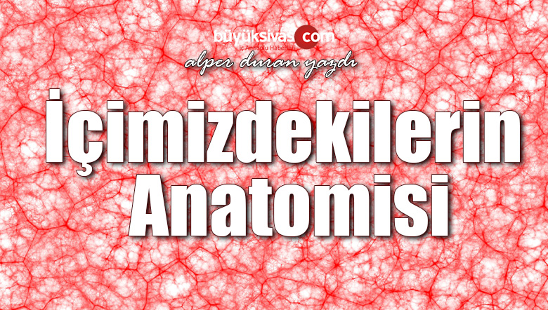 İçimizdekilerin Anatomisi